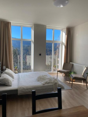 Apartmán Vyhlídka Hamry, Hamry